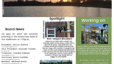 June Newsletter